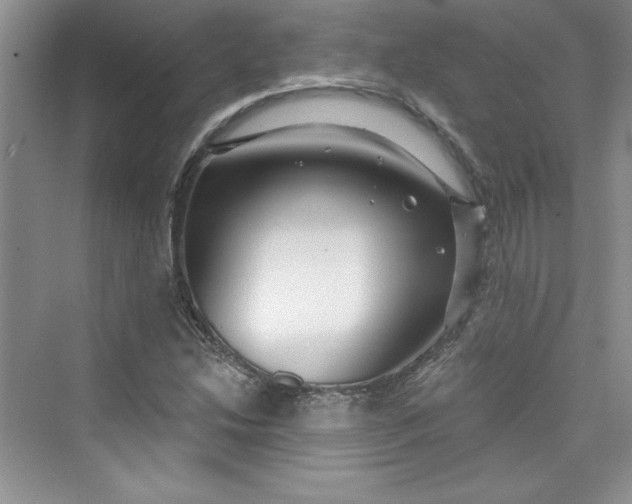 X0000075401214200609251009