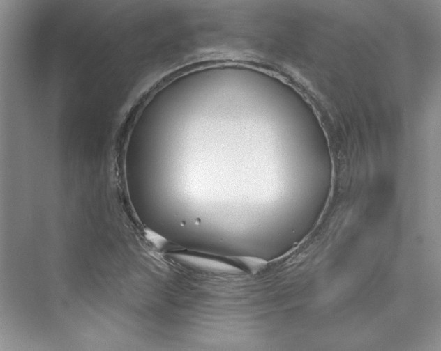 X0000075401215200609251009