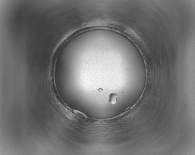 X0000075401216200609251009