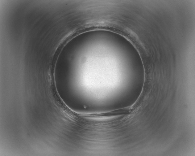 X0000075401218200609251010