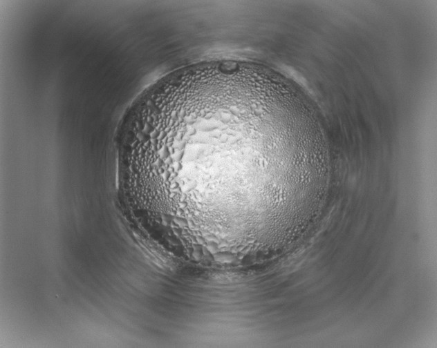 X0000075401219200609251010