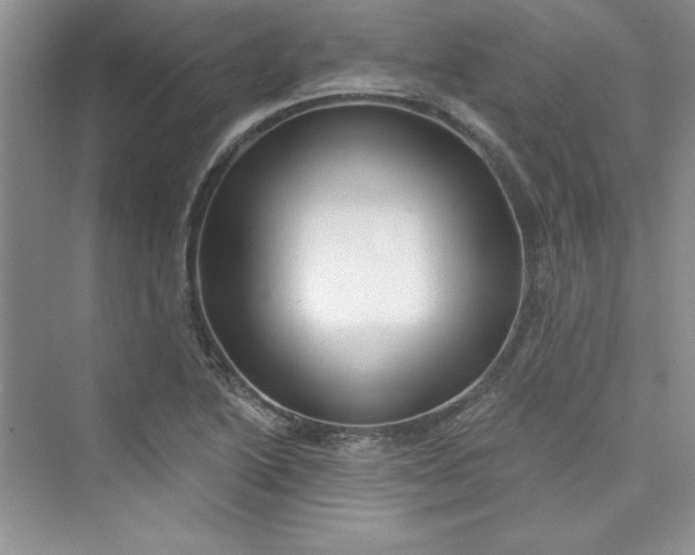 X0000075401222200609251010