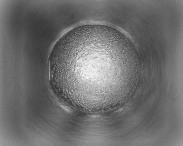 X0000075401223200609251010