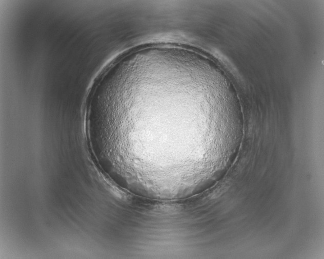 X0000075401224200609251010