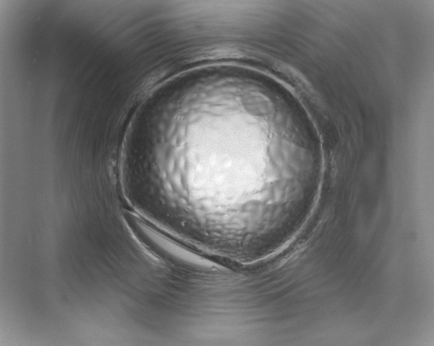 X0000075401225200609251010