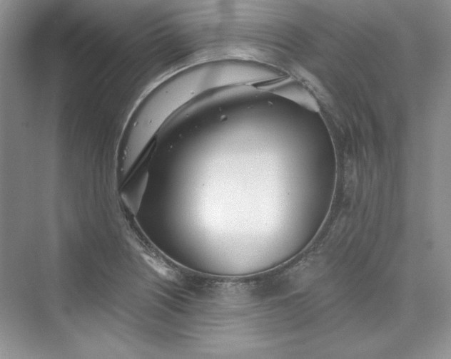 X0000075401226200609251010