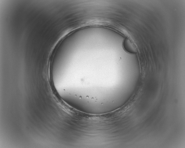 X0000075401227200609251010