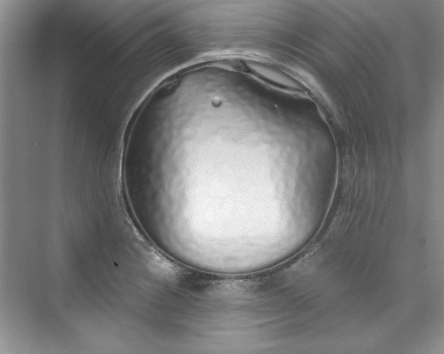 X0000075401228200609251010