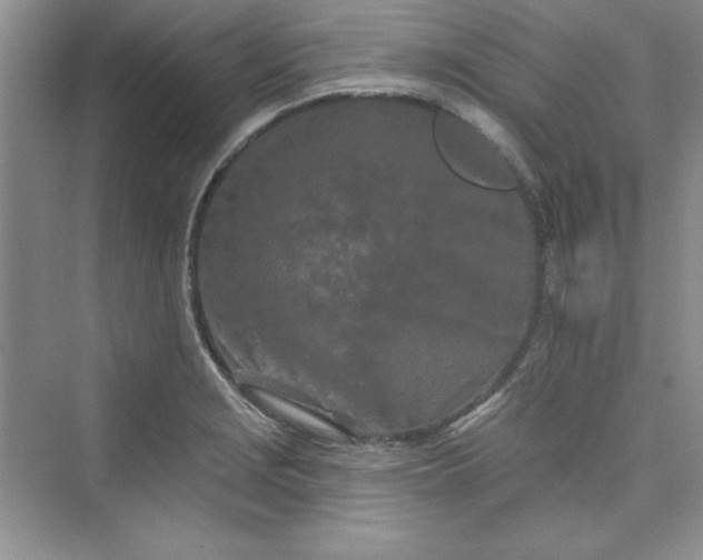 X0000075401229200609251010