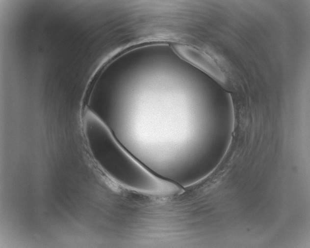 X0000075401230200609251010