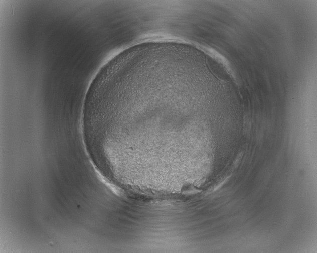 X0000075401231200609251010