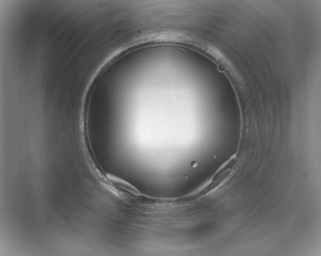 X0000075401232200609251010