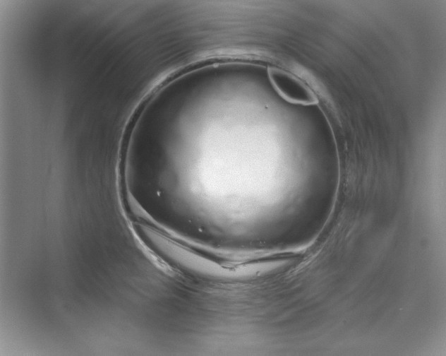 X0000075401237200609251010