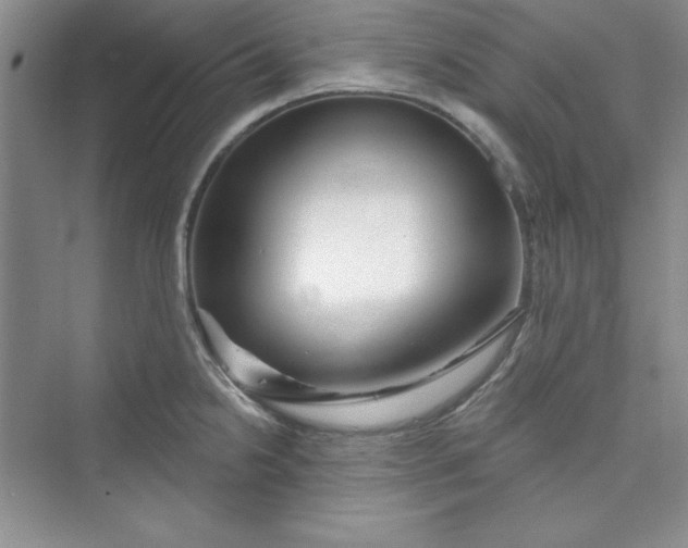 X0000075401238200609251010