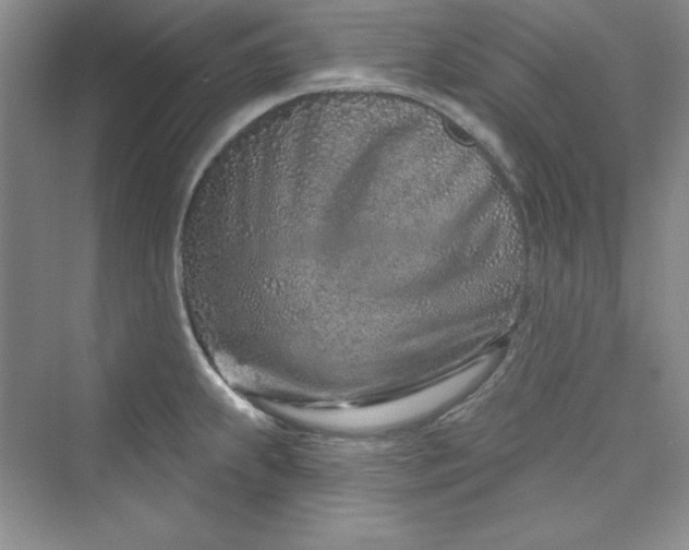 X0000075401239200609251010