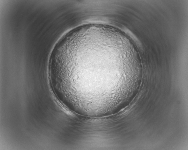 X0000075401240200609251010