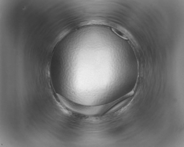 X0000075401241200609251010