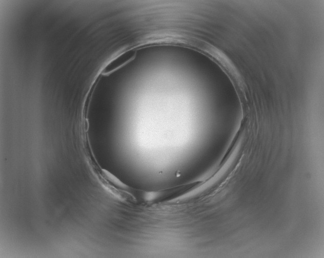 X0000075401242200609251010