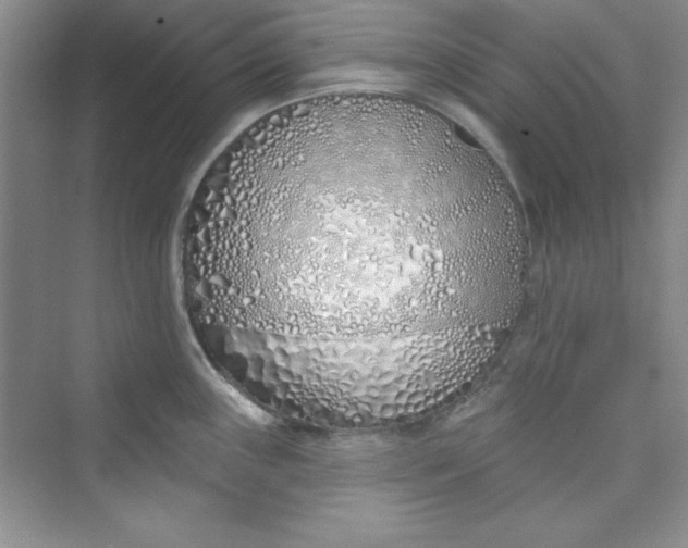 X0000075401243200609251010