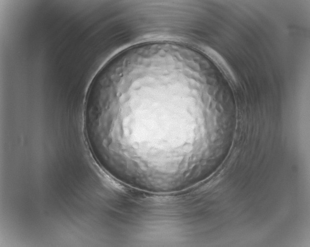 X0000075401244200609251010