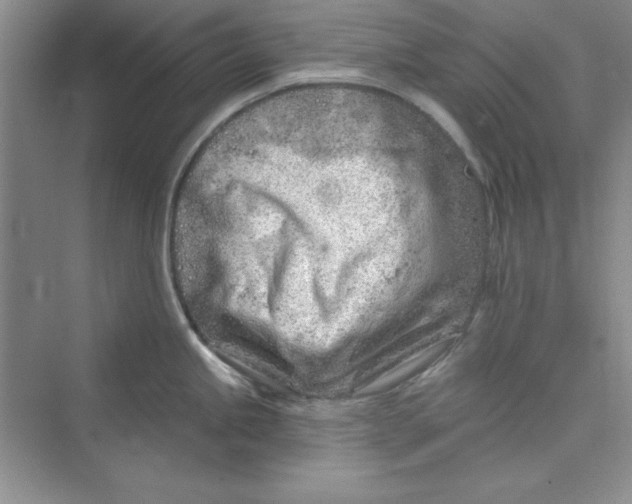 X0000075401245200609251010