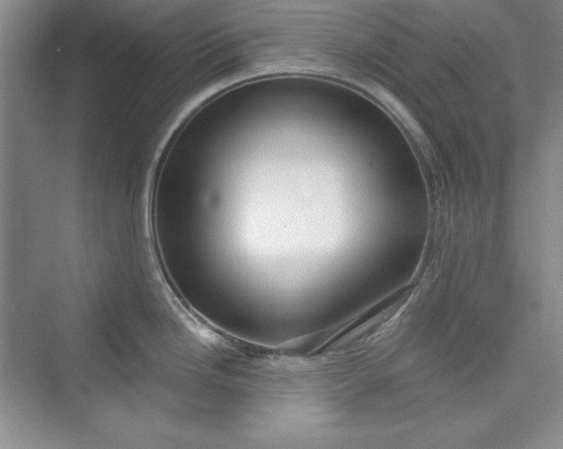 X0000075401246200609251010