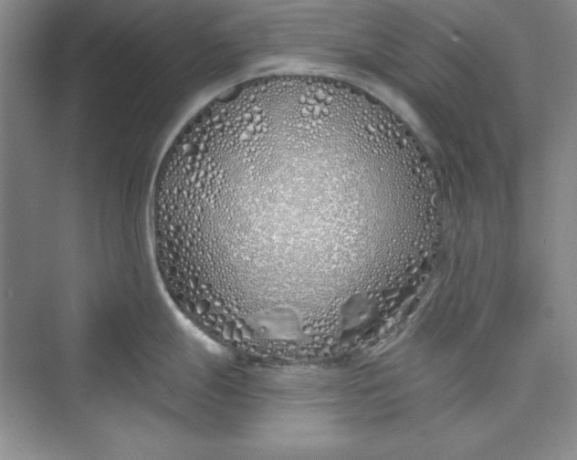 X0000075401247200609251010