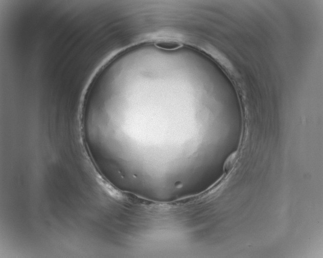 X0000075401248200609251010