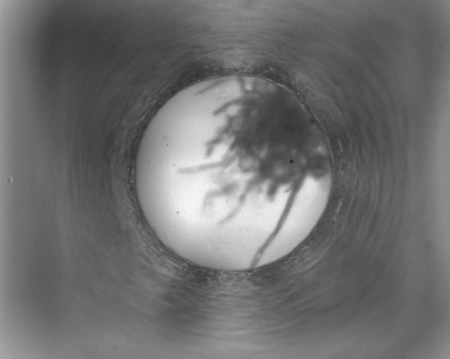 X0000075401249200609251009