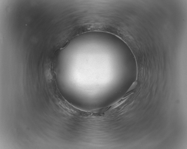 X0000075401250200609251009