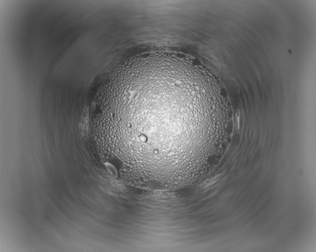 X0000075401251200609251009