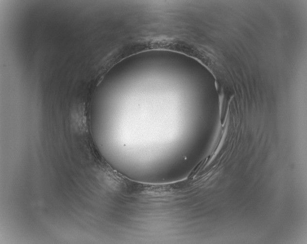 X0000075401252200609251009