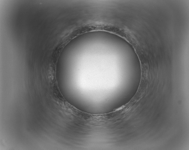 X0000075401253200609251009