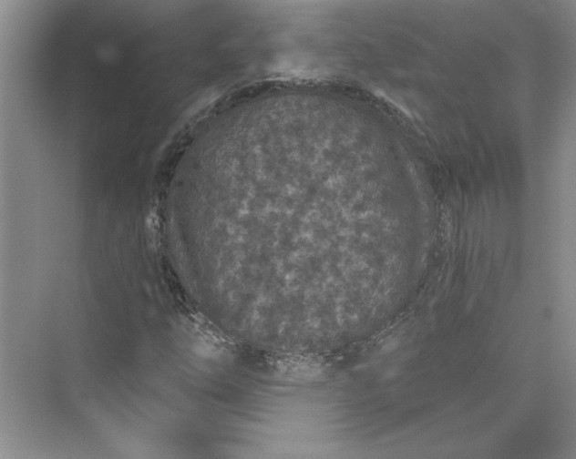 X0000075401254200609251009