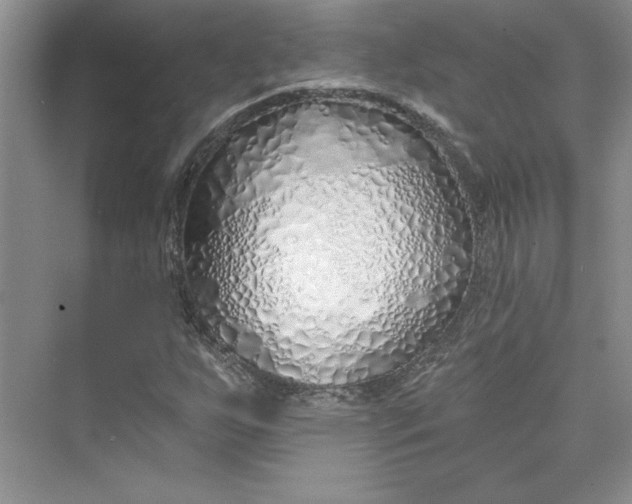 X0000075401255200609251009