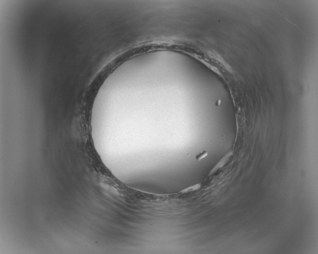 X0000075401256200609251009