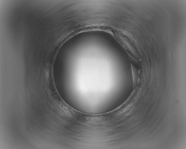 X0000075401257200609251009