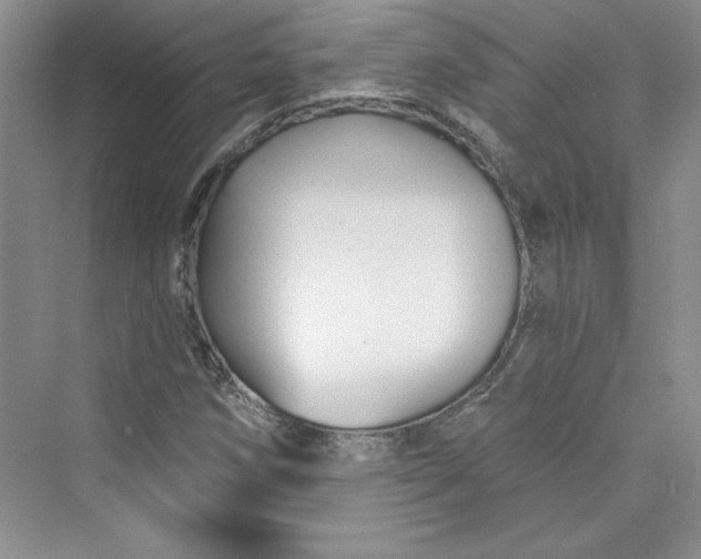 X0000075401258200609251009