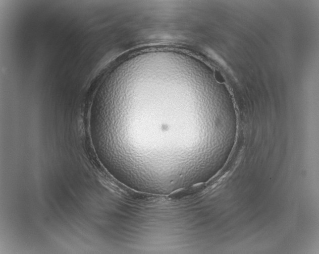 X0000075401259200609251009