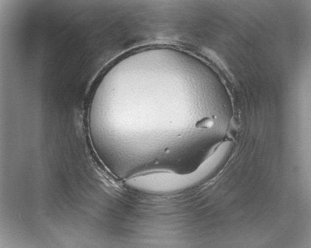 X0000075401260200609251009