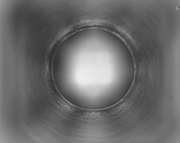 X0000075401261200609251009