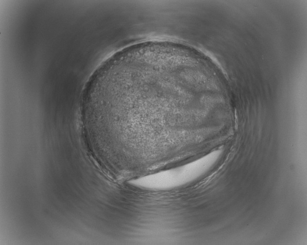 X0000075401263200609251009