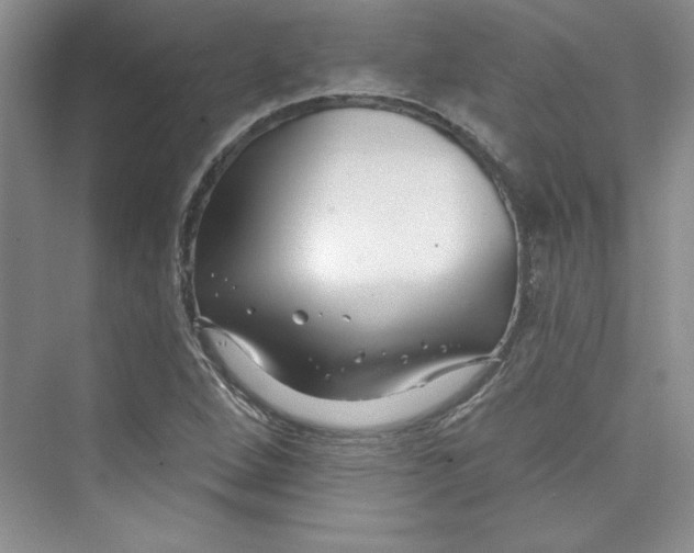 X0000075401264200609251009