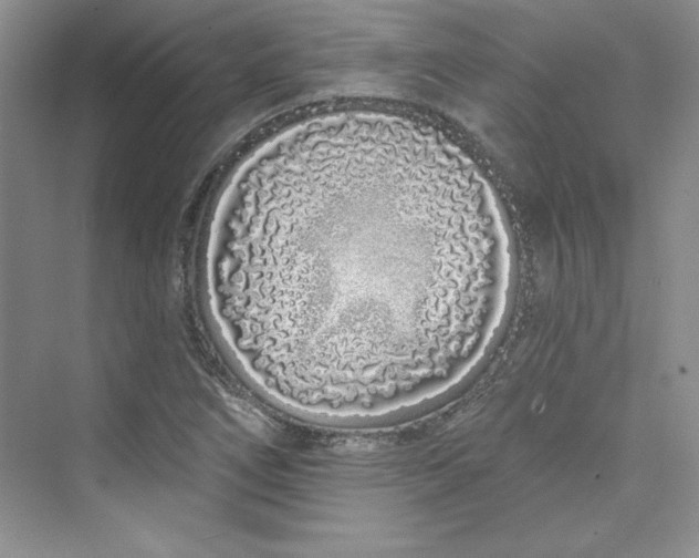 X0000075401266200609251009