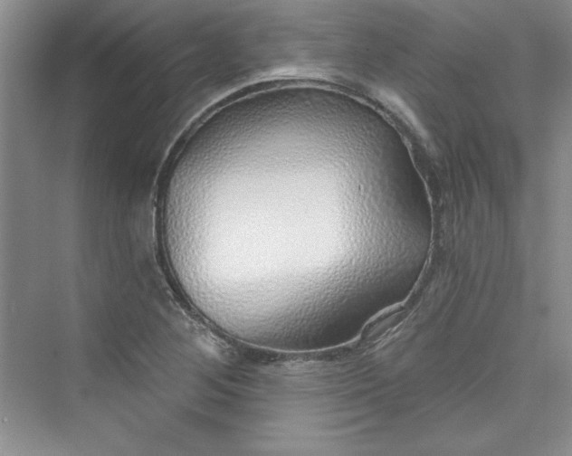 X0000075401268200609251009