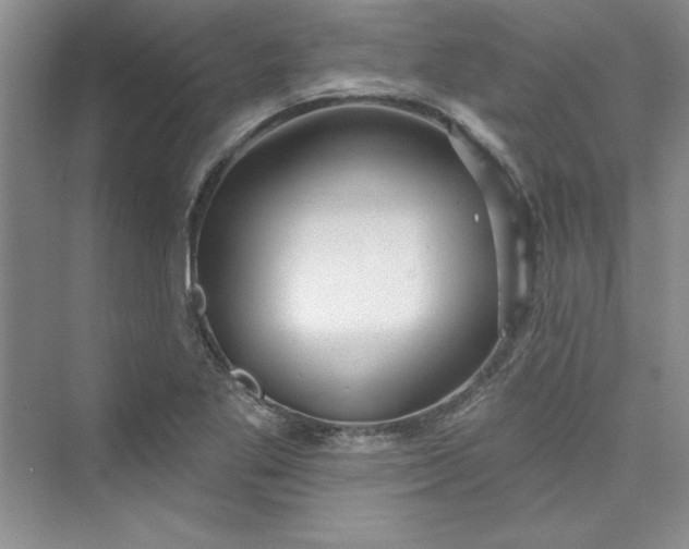 X0000075401269200609251009