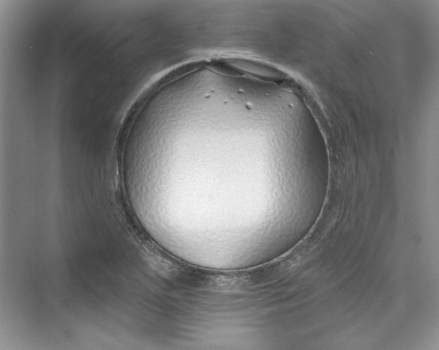 X0000075401271200609251009