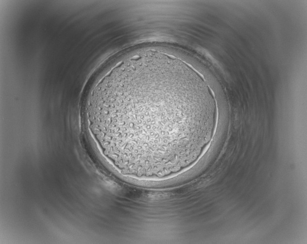 X0000075401274200609251009