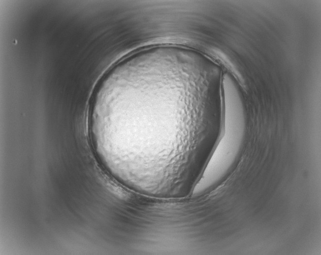 X0000075401276200609251009