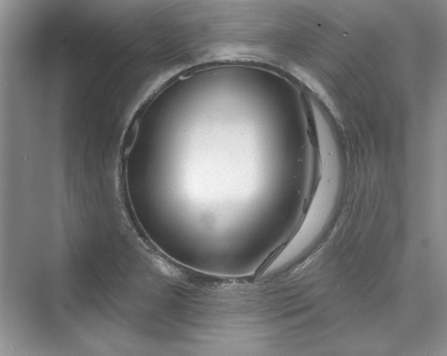 X0000075401277200609251009